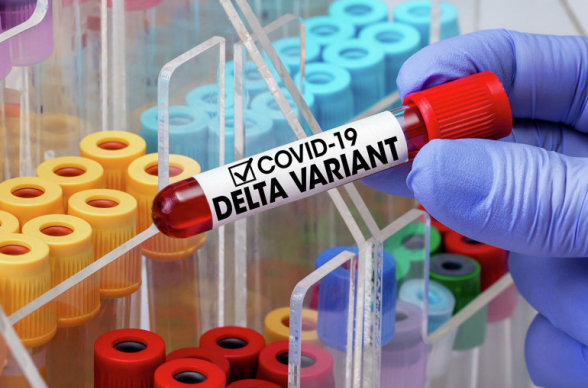 За сутки в Армении выявлено 89 новых случаев коронавируса, скончались еще 11 человек