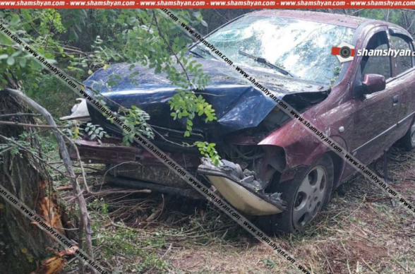 Գեղարքունիքում Opel-ը մխրճվել է ծառերի մեջ, 8 վիրավորներից 5-ը 3 ամսականից մինչև 2 տարեկան երեխաներ են