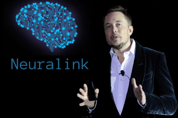 В США начали расследование в отношении компании Маска «Neuralink»