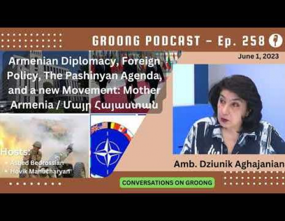 «Մայր Հայաստան» շարժման անդամ Ձյունիկ Աղաջանյանի հարցազրույցը Armenian News Network-ին (տեսանյութ)