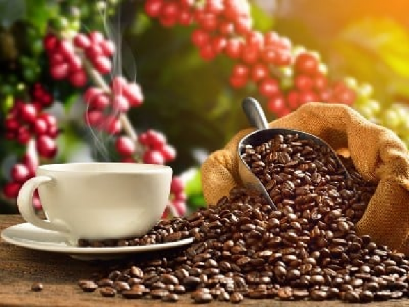 Գիտնականները պարզել են, թե երբ է մոլորակի վրա հայտնվել արաբիկա սուրճը