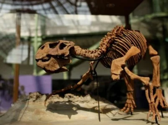 Գիտնականները բացահայտել են փետրավոր դինոզավրերի մաշկի էվոլյուցիայի առեղծվածը
