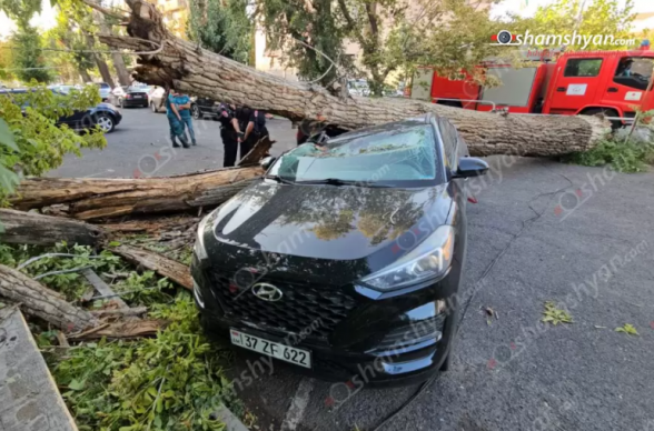 Երևանում՝ Քուվեյթի դեսպանատան մոտ, հաստաբուն ծառը արմատախիլ է եղել ու ընկել «Hyundai»-ի վրա