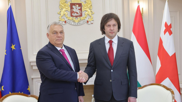 Виктор Орбан назвал выборы в Грузии свободными и демократичными