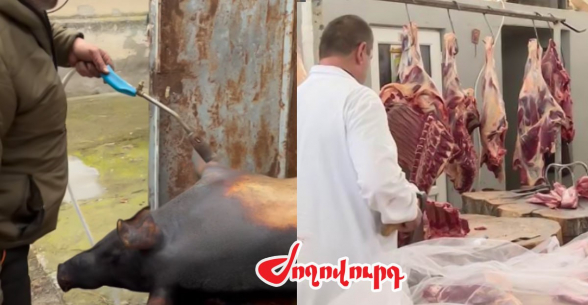 Փաշինյանի խանձած խոզը սպանդանոցում չի մորթվել. «Ժողովուրդ»