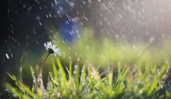 Սպասվում է կարճատև անձրև, հնարավոր է նաև ամպրոպ