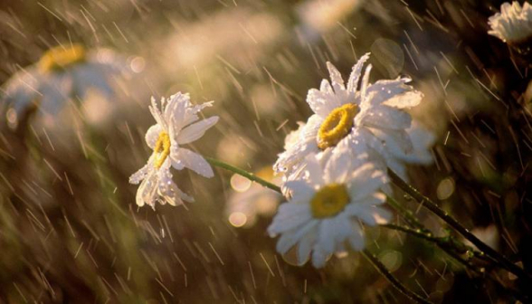 Եղանակը կշարունակի տաքանալ