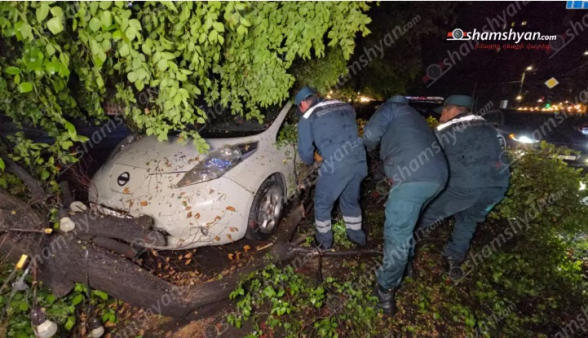 Սարյան փողոցում փտած ծառն ընկել է կայանված «Nissan»-ի վրա
