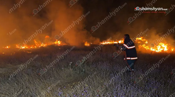 Հրդեհ է բռնկվել «Հայֆիլմ» կինոստուդիայի հարակից տարածքում