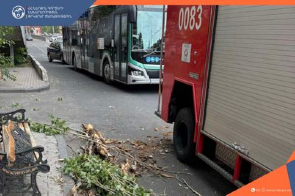 Խանջյան փողոցում ծառը կոտրվել և ընկել է քաղաքացու վրա