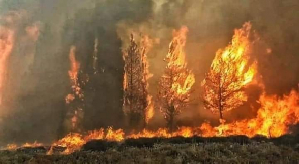 Лесные пожары, вспыхнувшие в Латакии, охватили районы близ армянонаселенного Касаба (видео)
