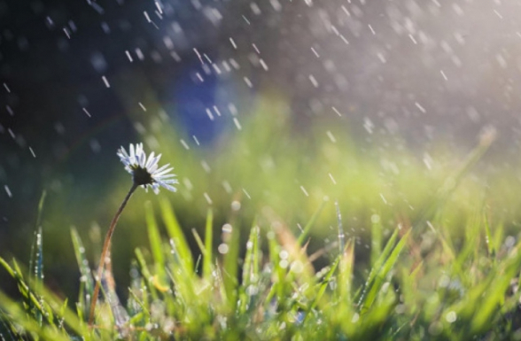 Օդի ջերմաստիճանը հուլիսի 15-16-ին աստիճանաբար կնվազի 3-4 աստիճանով