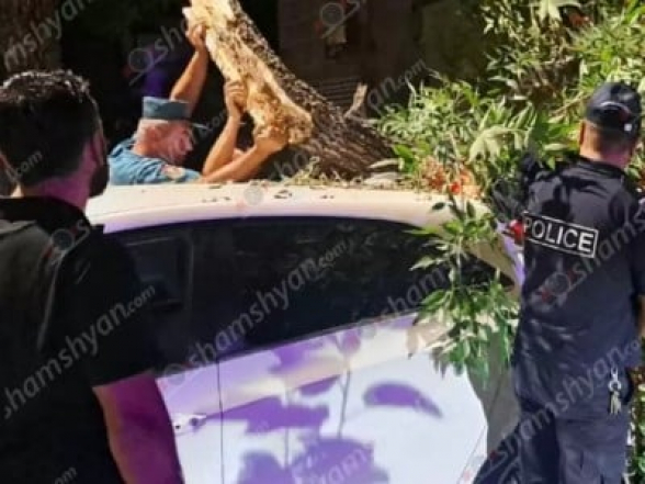 Պարոնյան փողոցում ծառի հսկայական ճյուղը կոտրվել և ընկել է կայանված «Hyundai Elantra»-ի վրա