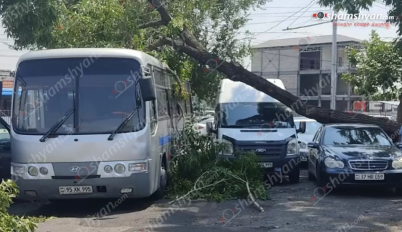 Իսակովի պողոտայում հաստաբուն ծառից ճյուղը կոտրվել և ընկել է կայանված «Ford Transit», «Mercedes» մեքենաների և «Hyundai» ավտոբուսի վրա