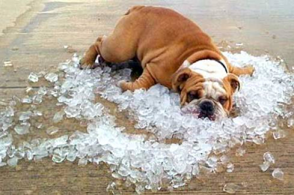 Օդի ջերմաստիճանն աստիճանաբար կբարձրանա 7-10 աստիճանով