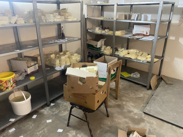 Վայոց ձորում կասեցվել է պանրի արտադրամասի արտադրական գործունեությունը