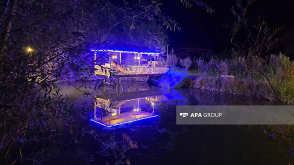 3 человека погибли при обрушении платформы в водоеме в Нахиджеване