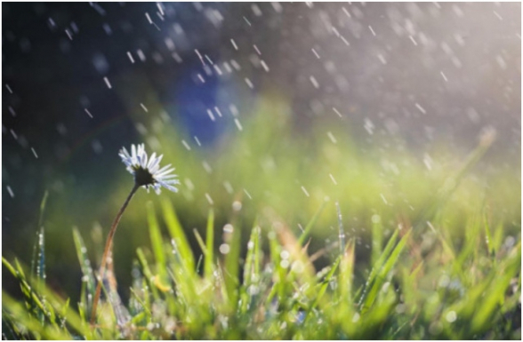 Առանձին շրջաններում սպասվում է թույլ կարճատև անձրև