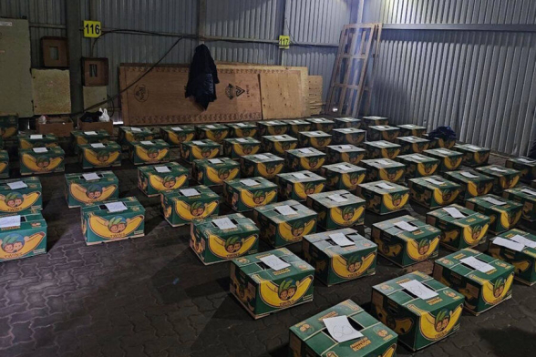 Рекордную партию кокаина нашли в бананах, прибывших в порт Петербурга