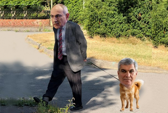 Политический щенок Никола в Вагаршапате