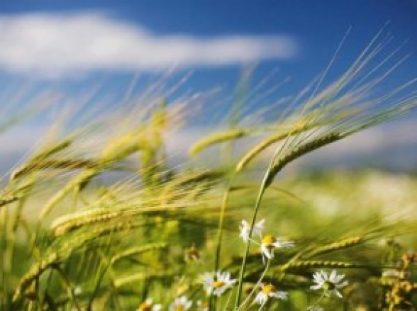 Օդի ջերմաստիճանը կնվազի 7-10 աստիճանով