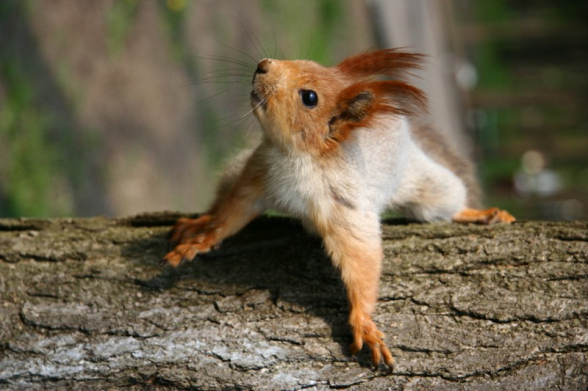 Օդի ջերմաստիճանը կնվազի 3-4 աստիճանով