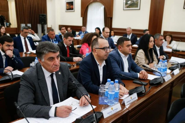 Член Совета старейшин от фракции «Мать Армения» предлагает повысить зарплаты сотрудников ереванских поликлиник и детских садов