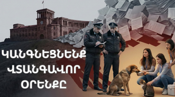 Կենդանասերները սկսել են ստորագրահավաք՝ «Կենդանիների պատասխանատու վերաբերմունքի մասին» վտանգավոր օրենսդրական փաթեթի դեմ