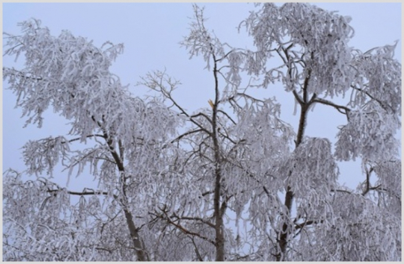 Օդի ջերմաստիճանը դեկտեմբերի 15-17-ն աստիճանաբար կնվազի՝ գիշերը 4-6, ցերեկը՝ 2-4 աստիճանով