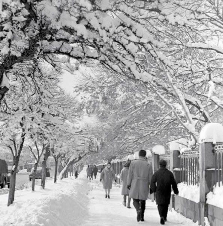 Արդեն 9 տարի մենք գրեթե ձմեռ չենք ունենում