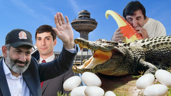 Կոկորդիլոսագետը․ երբ կոկորդիլոսը դառնում է թռչուն (տեսանյութ)