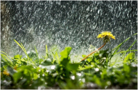 Ժամանակ առ ժամանակ շրջանների զգալի մասում սպասվում են տեղումներ