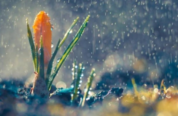 Սպասվում է կարճատև անձրև և ամպրոպ, տեղ-տեղ հնարավոր է կարկուտ