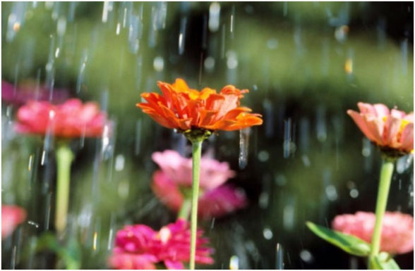 Սպասվում է կարճատև անձրև և ամպրոպ, տեղ-տեղ հնարավոր է կարկուտ