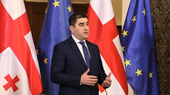 Грузию и ЕП разделяет пропасть в плане ценностей – Шалва Папуашвили
