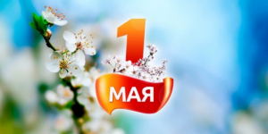 headerImg